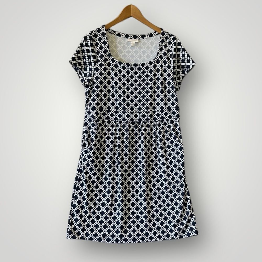 🎉5 for 45   🎉Charter Club Dress Size L